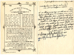 yarg237flublin_drabbi hauptsztejnp001